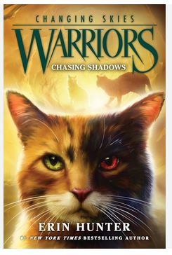 Chasing shadows cover image