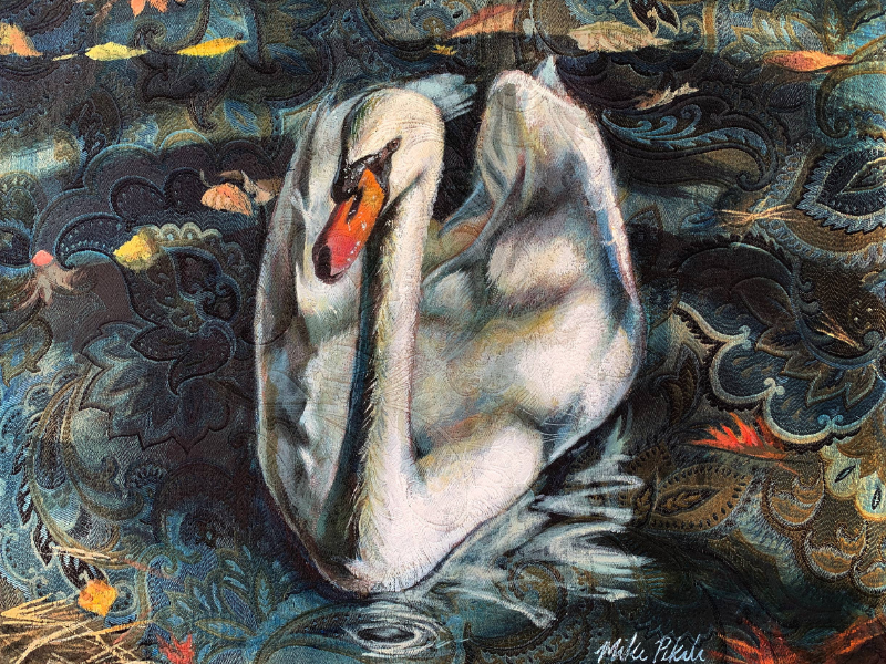 swan