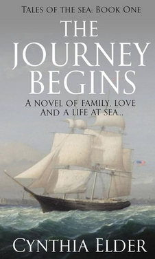 The journey begins cover image
