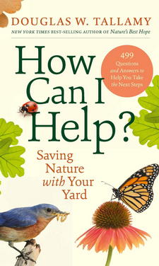 How can I help cover image