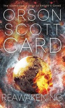 Reawakening cover image