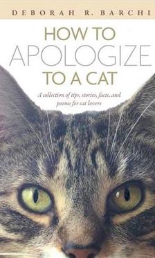How to apologize to a cat cover image