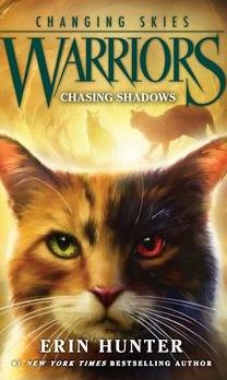 Chasing shadows cover image